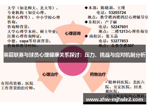 英超联赛与球员心理健康关系探讨：压力、挑战与应对机制分析