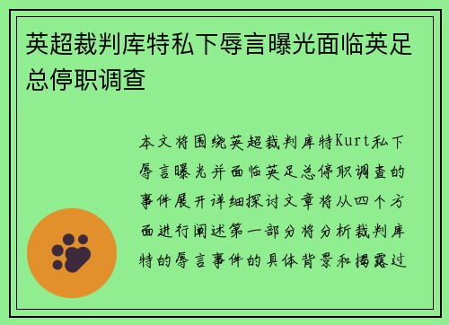 英超裁判库特私下辱言曝光面临英足总停职调查